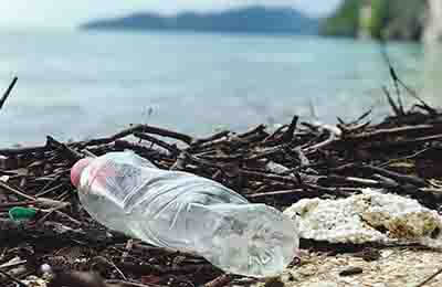 幼兒園環(huán)保論文