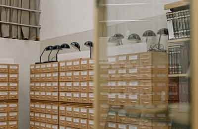 關(guān)于檔案網(wǎng)站建設(shè)策略探析