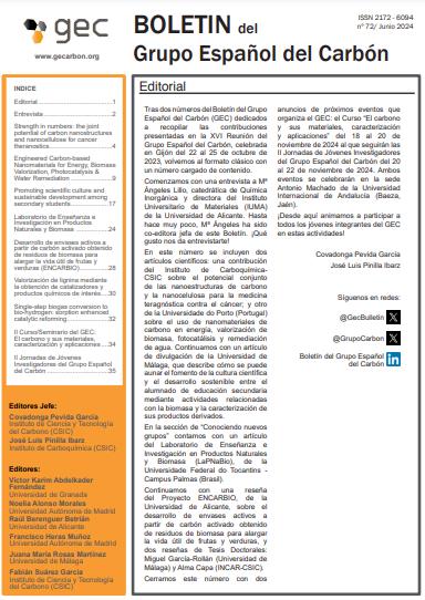 西班牙碳集團(tuán)公報(bào)