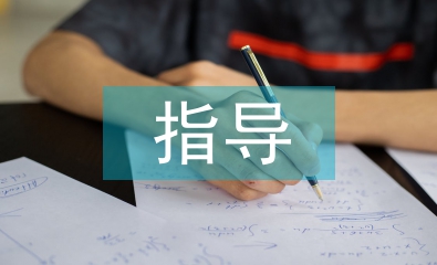 畢業(yè)論文指導(dǎo)工作總結(jié)