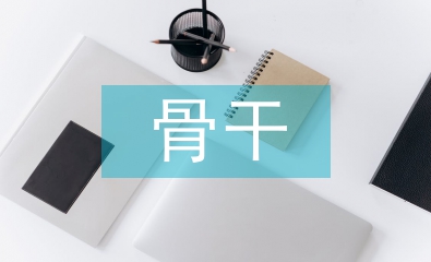 骨干培訓(xùn)總結(jié)