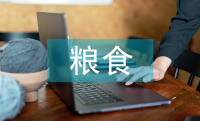 糧食協(xié)會工作計劃