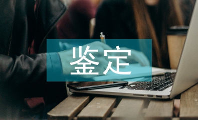 大一鑒定自我總結