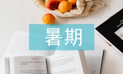暑期大學(xué)生實(shí)習(xí)論文