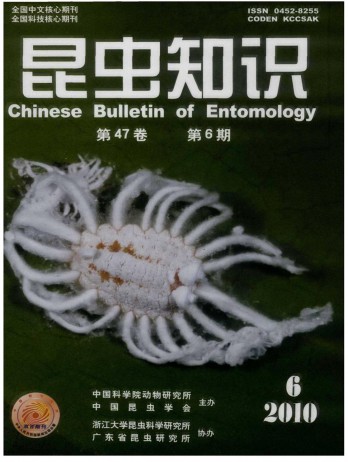昆蟲知識雜志