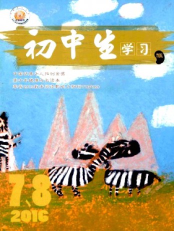 初中生學(xué)習(xí)(低)雜志