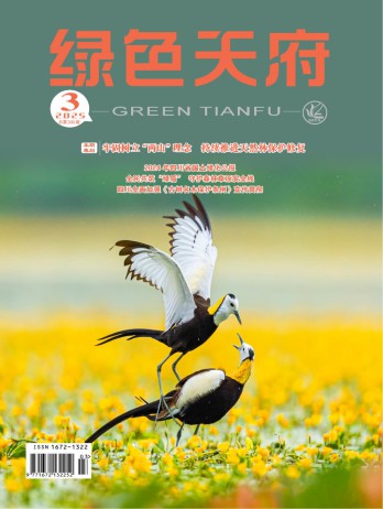 綠色天府雜志